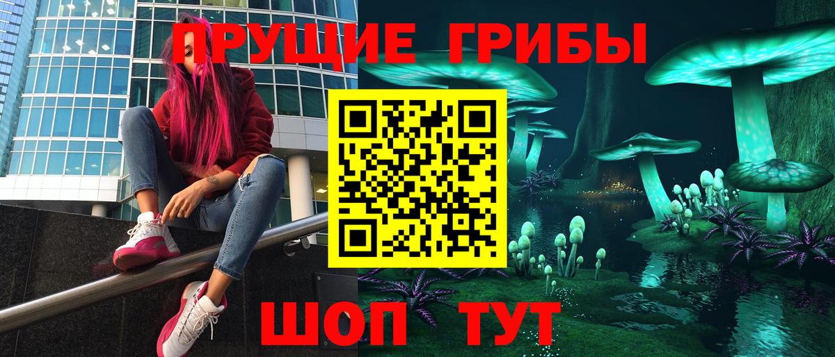 Псилоцибиновые грибы мицелий Глазов